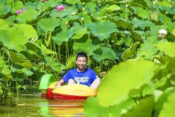 攀枝花新闻网最新消息-传递美好未来