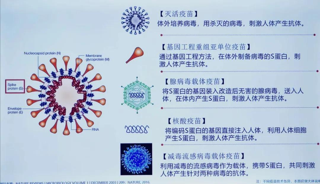 新冠疫苗研发最新动态解析