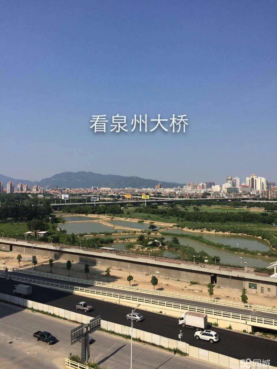 泉州桥南地区最新房产价格动态揭秘